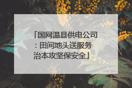 国网温县供电公司：田间地头送服务 治本攻坚保安全